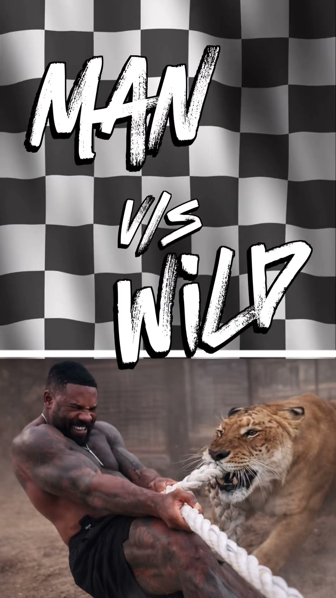 Human vs Lion 😱 Tug of War 🐅 इंसान शेर रस्साकशी 🤔कौन जीतेगा? #lion #man #power #shorts #ytshorts