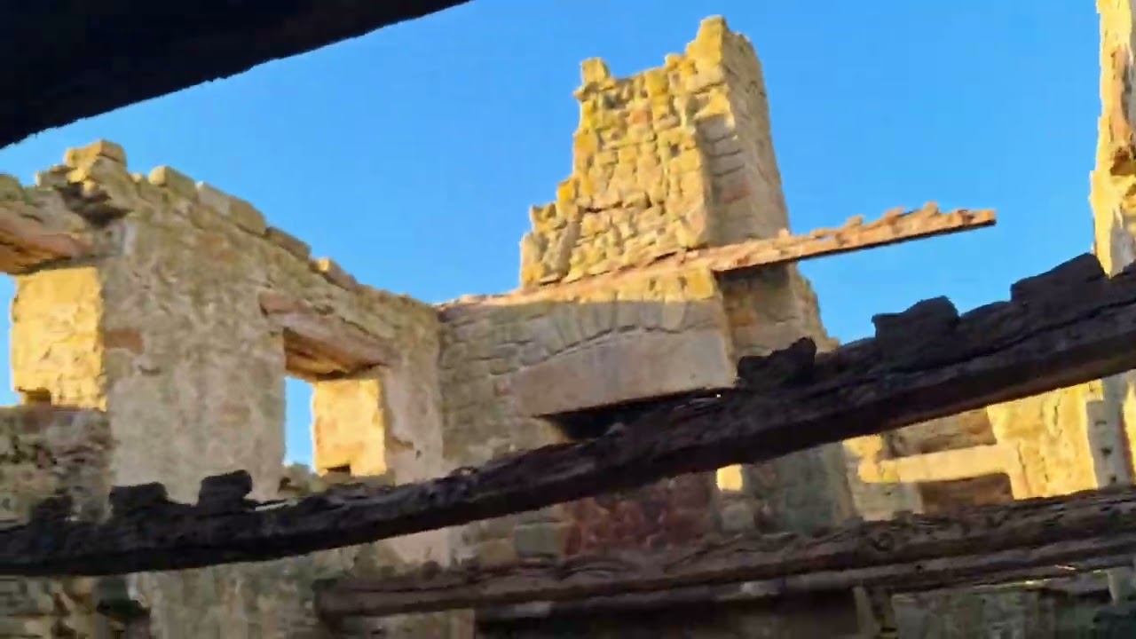 A January walk to Northumberland, Where on top of the Dunes at Duridge Bay I spotted something!!