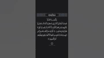 سورة ال عمران الآيات 135-136 ياسر الدوسري