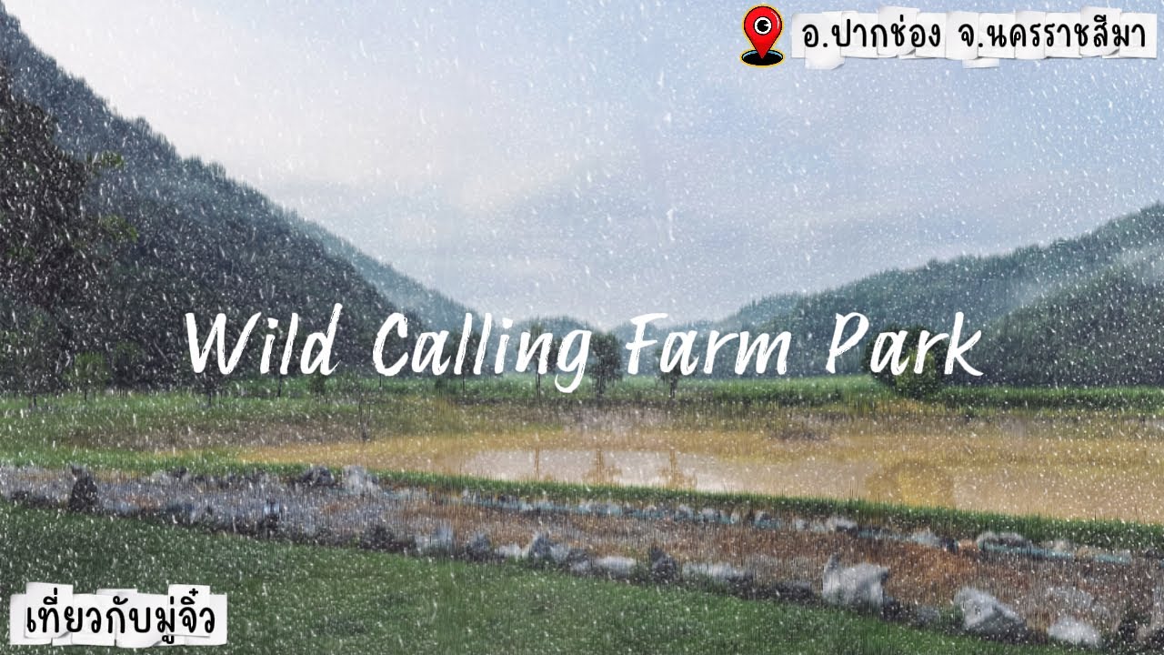 Wild Calling Farm Park | กางเต็นท์ลุยพายุฝน ชมวิวสุดอลังการ อ.ปากช่อง จ.นครราชสีมา | EP.7