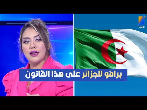 برافو للجزائر على هذا القانون نور شيشخان تكشف التفاصيل