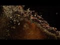 Mitzo Restaurant Opening — Super Slow Motion Food Cinematography Singapore | T-Eight