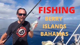FISHING IN BERRY ISLANDS BAHAMAS! The monster that gave us Ciguatera.