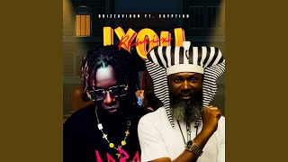 Iyou (Remix) (feat. Egyptian Cairo) - Brizz Aviour