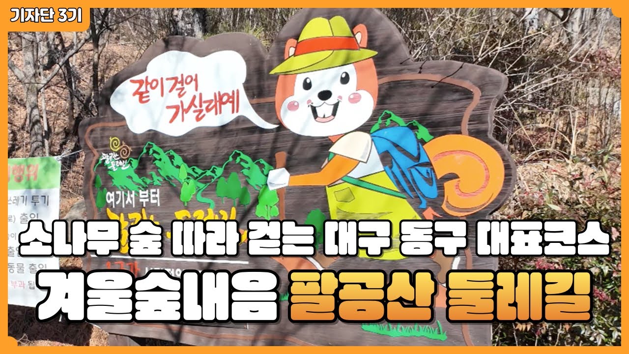 🌿소나무 바람 스치는 길, 팔공산 둘레길👣 - 유튜브기자단 3기 홍우석