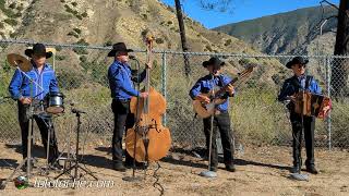 Modesta Ayala - Chirrines Con Tololoche De Los Angeles Ca 818-290-4645