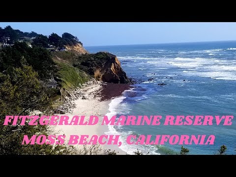 FITZGERALD MARINE RESERVE MOSS BEACH, CALIFORNIA