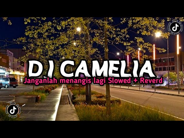 Dj Camelia Janganlah menangis lagi Mengkane Slowed + Reverd ♪ class=