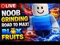 🔴 LIVE [Day 4]  Blox Fruits Noob Grinding - Road to Max🔥 + Chill Music 🎧
