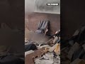 Взрыв в "Алых парусах". Убит Армен Саркисян