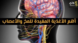 أهم الأغذية المفيدة للمخ والأعصاب