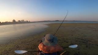 Big B On Swimbait And Terrible Landing Job.