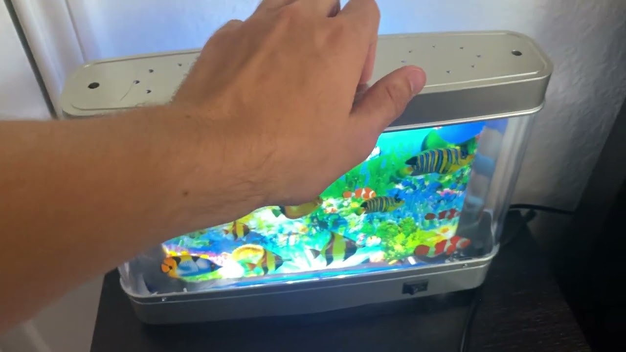 My 11th ASMR video ( house tour ! )