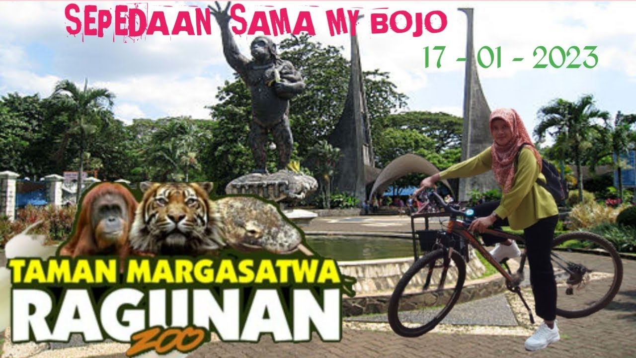 Wisata Ragunan Jakarta - YouTube