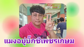 ตระกูลแมง ฟิล์ม อยู่บิ๊กซีเพชรเกษมครับ