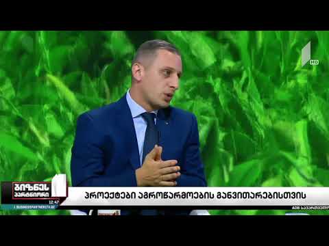 სოფლის განვითარების სააგენტოს მიმიდნარე პროგრამები - გადაცემა ბიზნესპარტნიორი