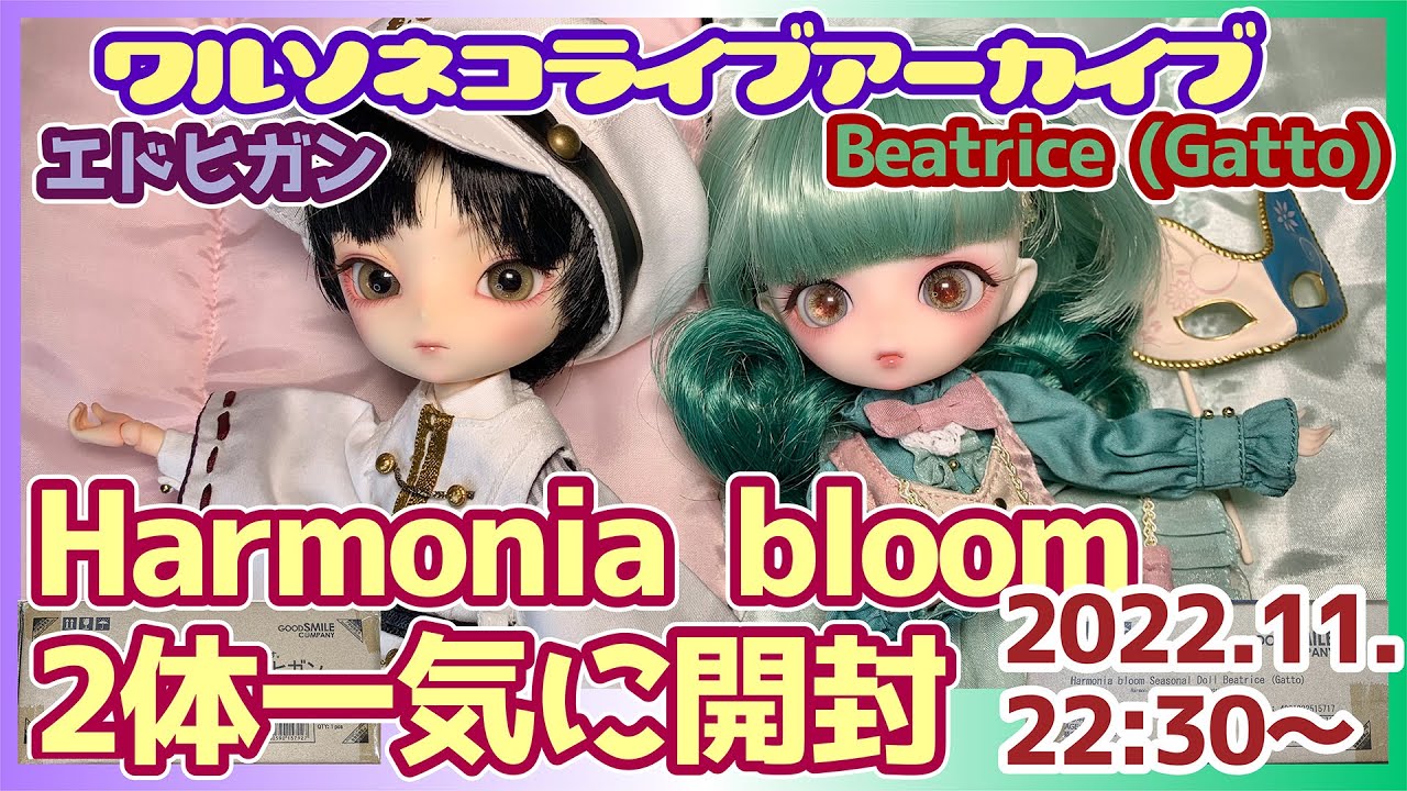 948【Harmonia bloom】エドヒガン＆Beatrice(Gatto)二人一気に開封 2022.11.2【アーカイブ】