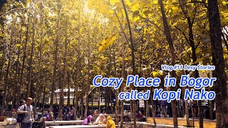 vlog #11 Desy Stories Cozy Place in Bogir called Kopi Nako, Bogor