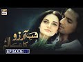 Shab e Arzoo Ka Aalam Episode 1 - Armeena Rana - ARY Digital Drama