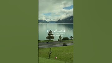 سورة الروم 🌟القارئ فارس عباد 🌙 #نور_القرآن #قرآن #اكسبلور