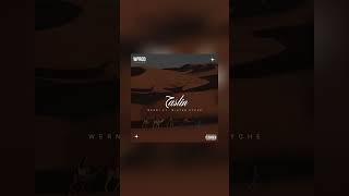 Werni - 7aslin X @mistereyche 