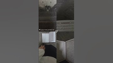 ما اسم القارئ