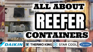 TROUBLESHOOTING AND FAMILIARIZATION OF REEFER CONTAINERS | Ship’s Electrician