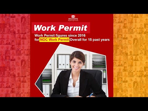 Work Permit figures since 2016 for NOC Work Permit Overall for 15 past years