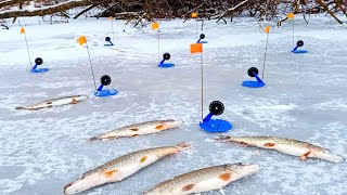 РЕЦЕПТ ХОРОШЕГО КЛЁВА! Рыбалка на жерлицы.