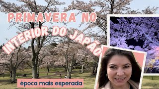 SAKURA EM IZU +VULCÃO DESATIVADO #japão #vidareal #primavera #interior #sakura #viral