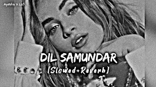 Dil Samundar - Garam Masala (Slowed - Reverb) Resimi