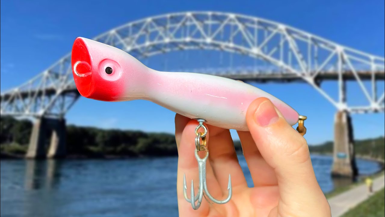 Catching HUGE Striped Bass with Topwater Lures! YouTube