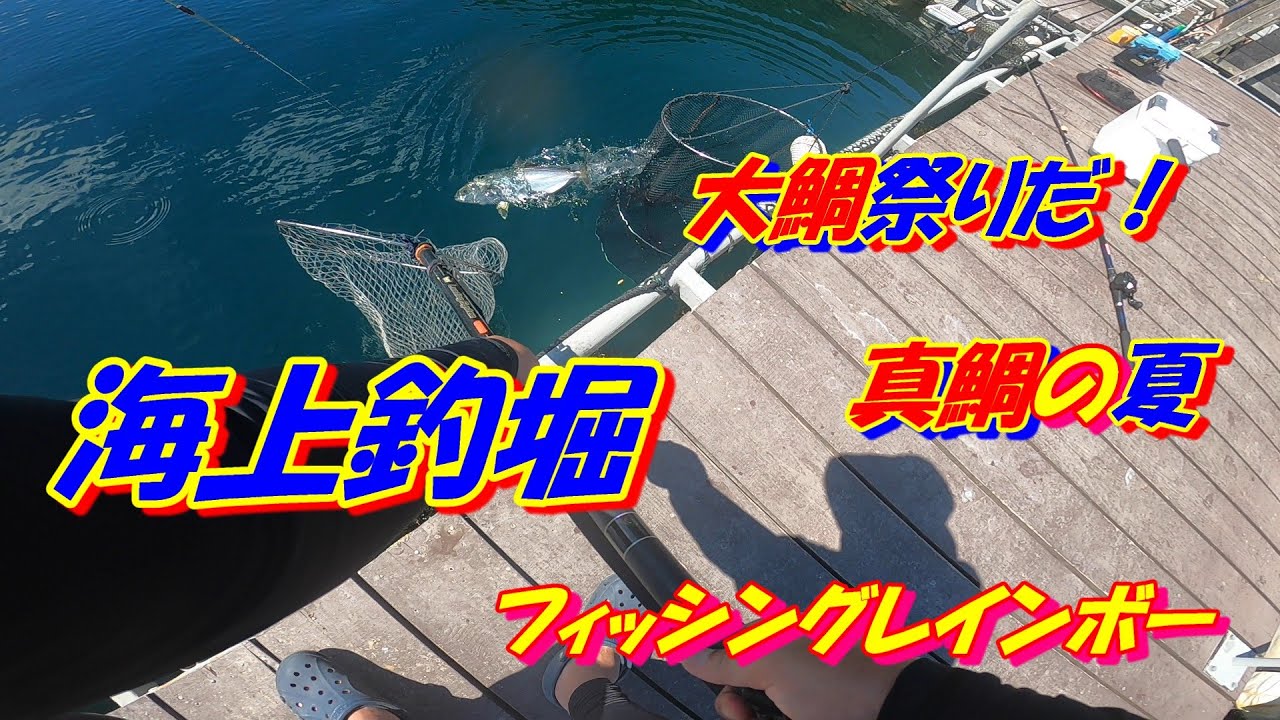 【海上釣り堀】今回は鯛祭り!　レインボー初上陸