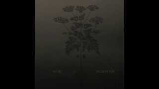 Spurv - Passacaglia (Fugler med ord i nebbet)