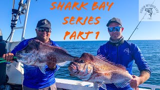 EP48 MONSTER PINK SNAPPER FISHING - SHARK BAY SERIES | PART 1