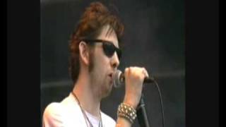 Watch Shane MacGowan  The Popes Cracklin Rosie video