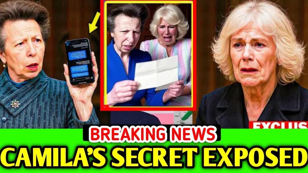 Princess Anne has revealed shocking documents and leaked chat exposing queen Camilla 