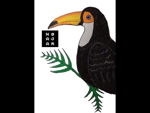 Panglima Burung Wallpaper 8 Images Foto Animasi Bergerak Dp Bbm Android Terbaru Display Picture Lucu Gambar Lukisan Burung Kenyalang Tokoh Perumus Pancasila Dw 25 Panglima Kumbang Bungkirit Panglima Burung Dan Kumbang