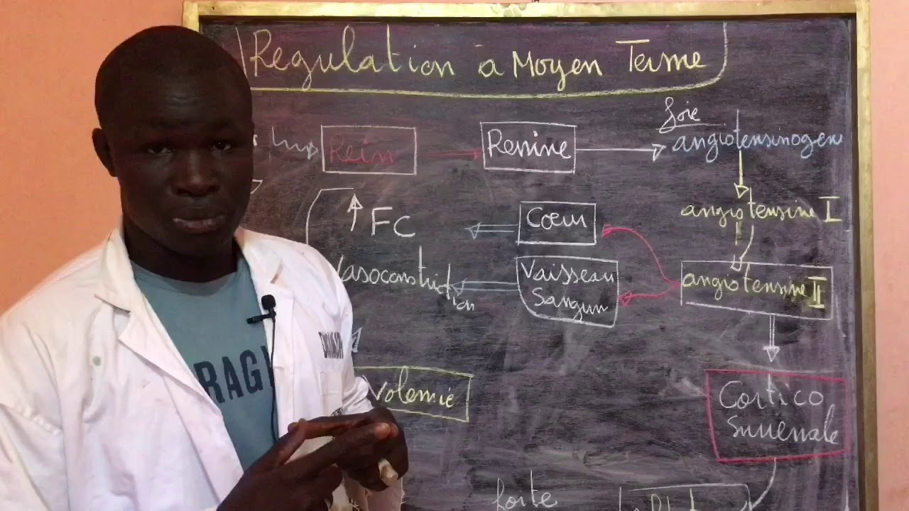 RÉGULATION DE LA PRESSION ARTÉRIELLE PAR VOIE HORMONAL PAR LE SYSTÈME RENINE ANGIOTENSINE
