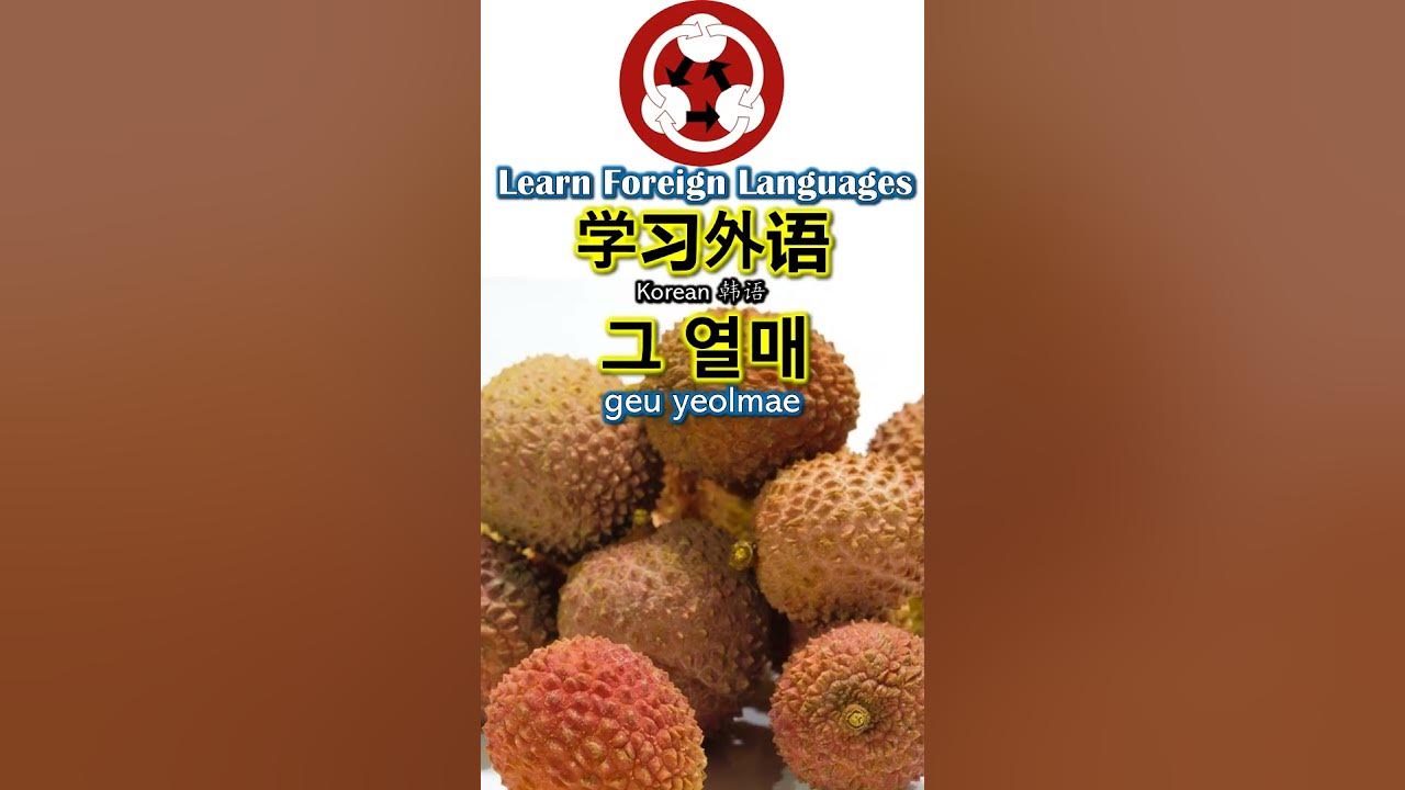 1803 Fruits 水果 How to pronounce lychee 荔枝 in Koreanshorts YouTube