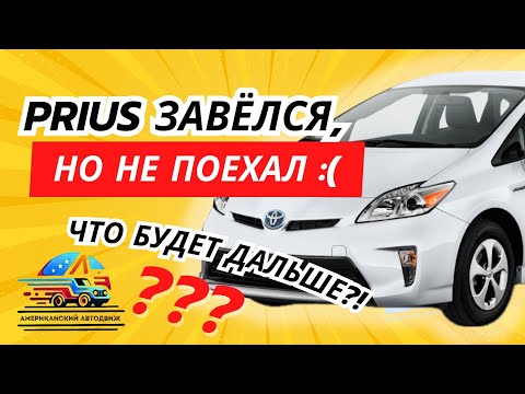 Видео: Американский АВТОДВИЖ.  Будни Автодилера в США