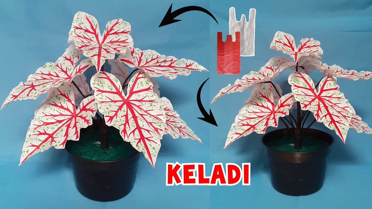 Cara Membuat Keladi Hias dari Plastik Kresek || How to Make Flower from Plastic Bag