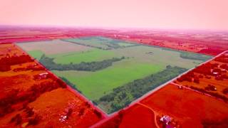 8021 County Road 623  Farmersville, Texas 75442