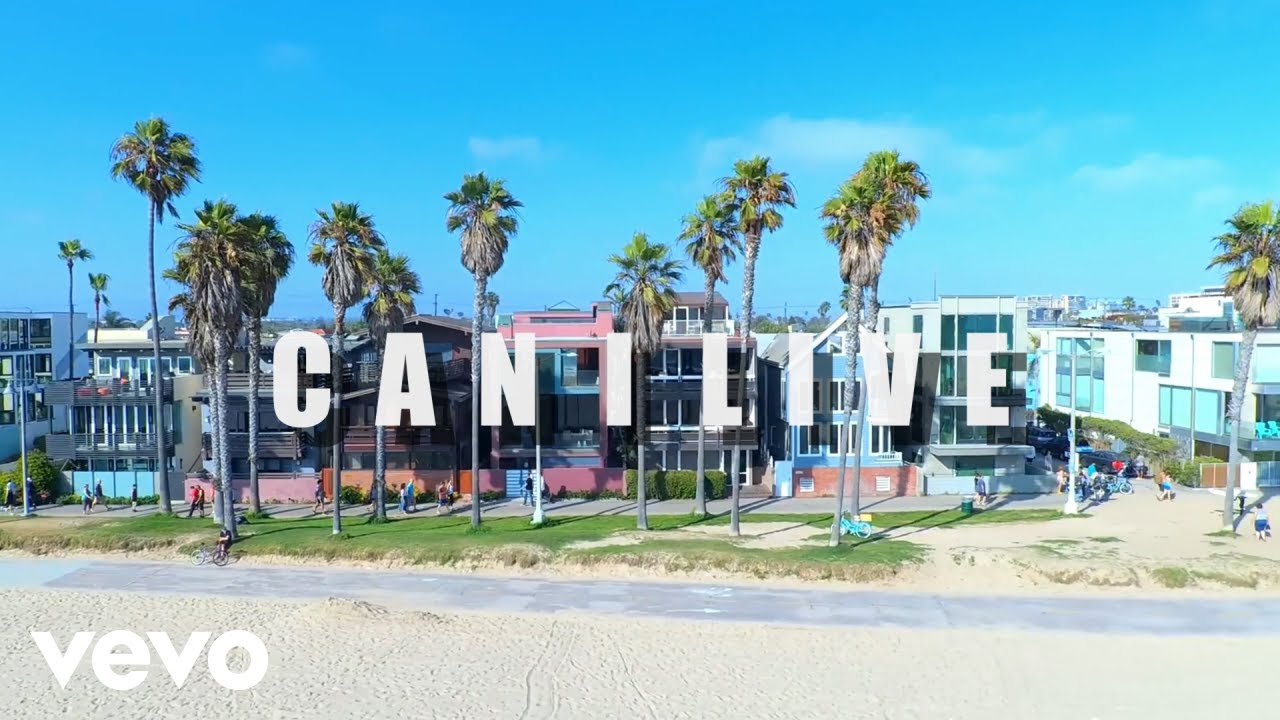 Techniec, L's - Can I Live ft. Blu, Brandi Price