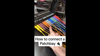 How to connect a patch bay 🔌 #shorts