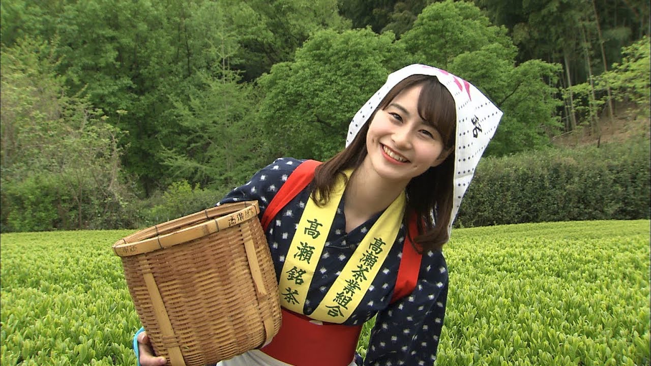 新茶の季節到来 茶摘み娘 姿で新茶の初摘みを体験 香川 三豊市 Youtube