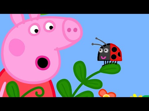 Peppa Finds A