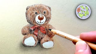 How to draw a Teddy Bear - Realistic Drawing - YouTube