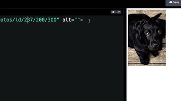 25 01 20, HTML, CSS 강좌, 41강, picsum.photos 로 쉽게 테스트용 이미지 사용하기