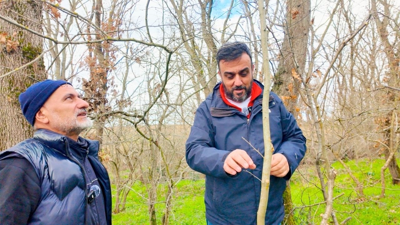 Bir Baba Evladı İçin Neleri Göze Alır? Ormancı Baba’nın Gerçek Hikayesi @ormancibaba